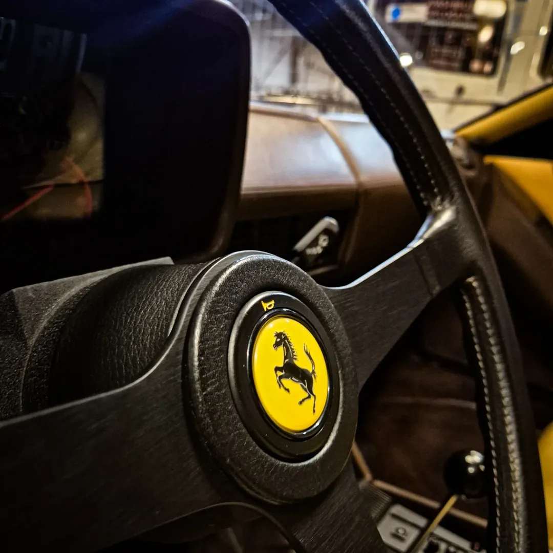 Ferrari Testarossa | Dieptereiniging detail 1