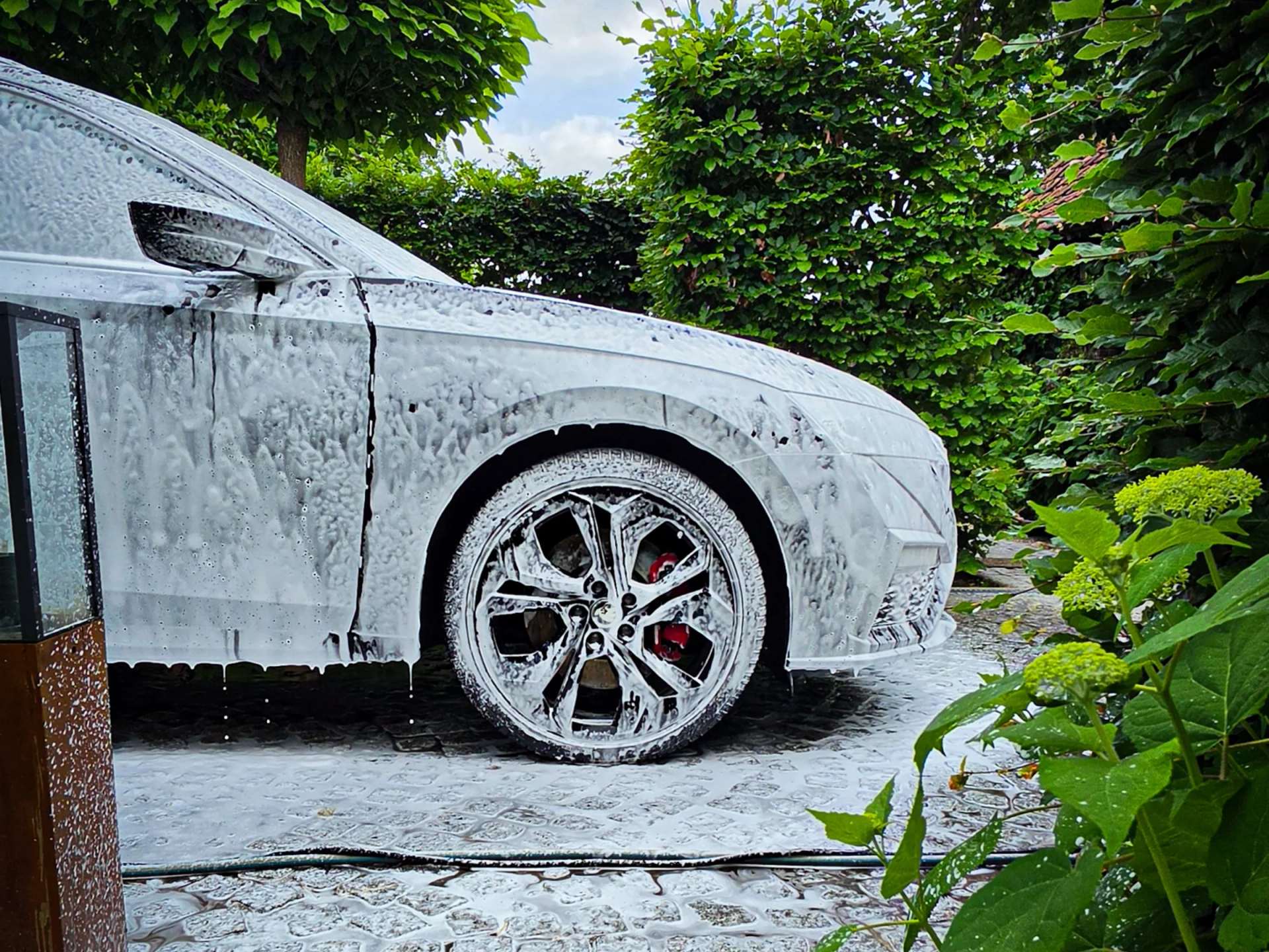 Skoda Octavia RS | Dieptereiniging