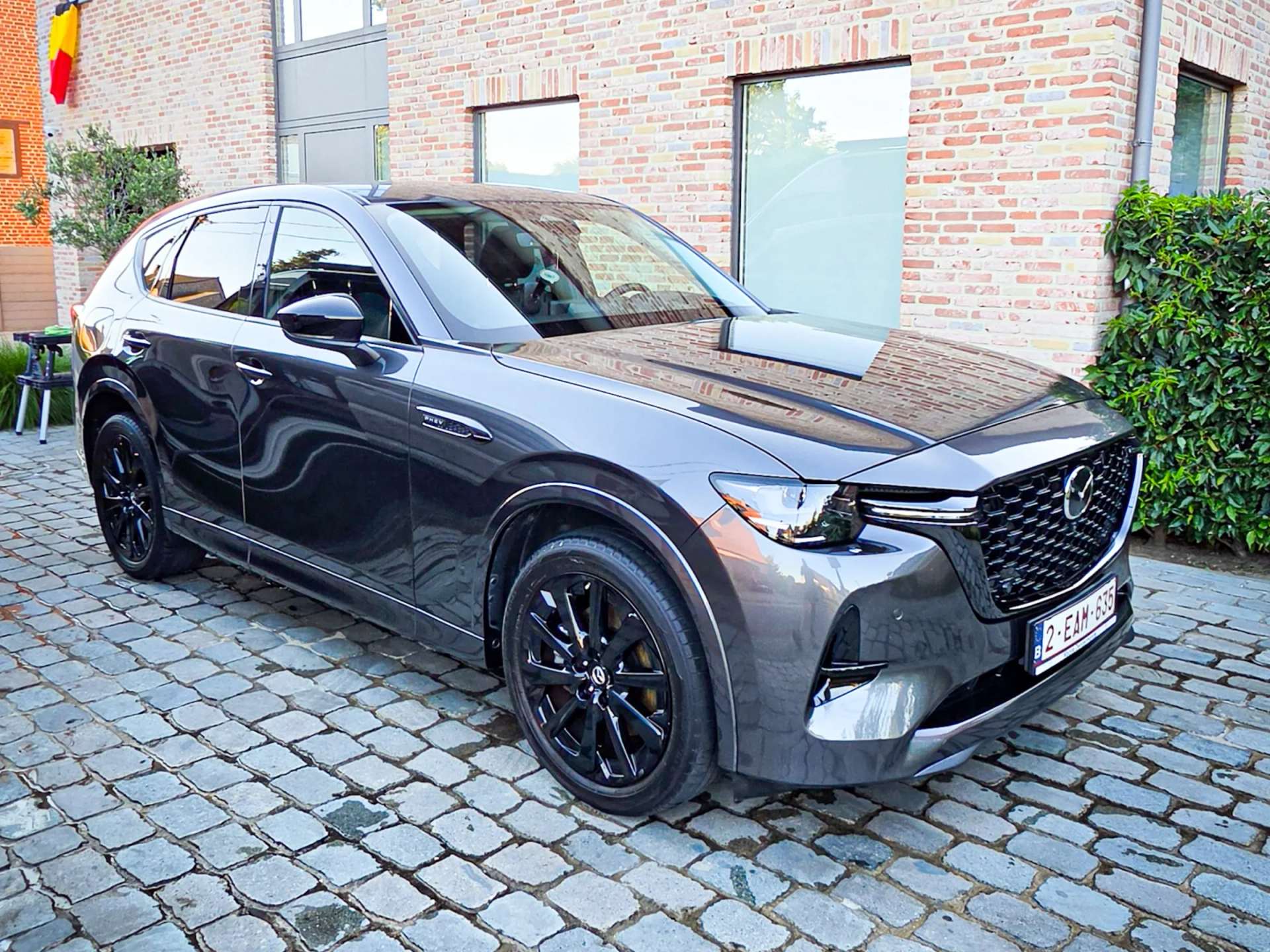 Mazda CX60 | DetailWash detail 6