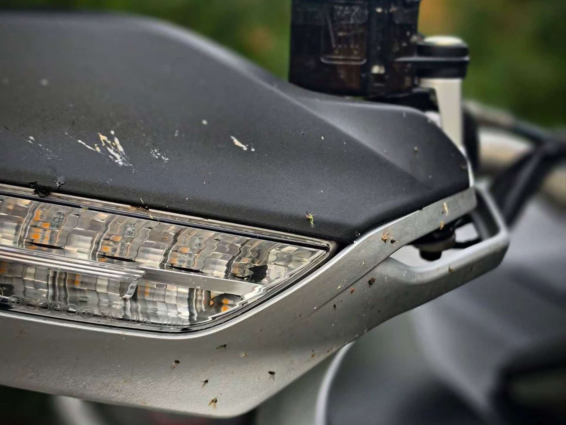 Ducati Multistrada | DetailWash detail 1